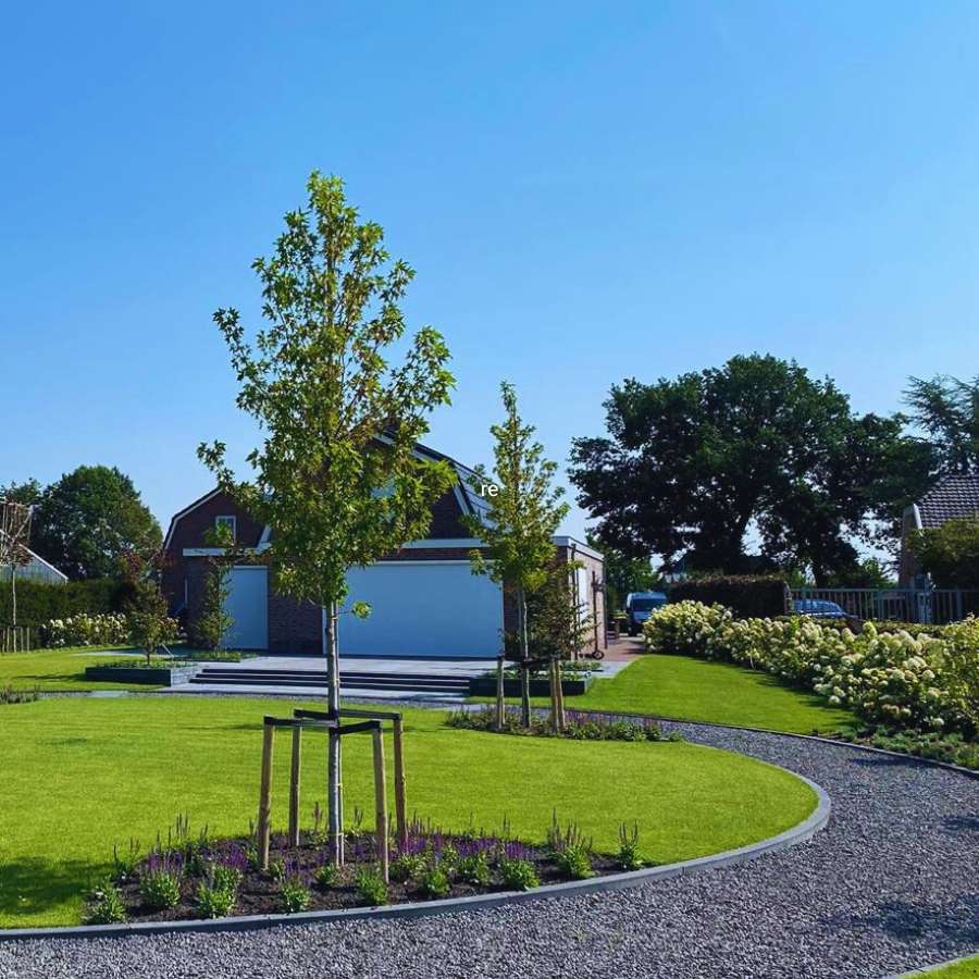 nieuwe bomen laten planten