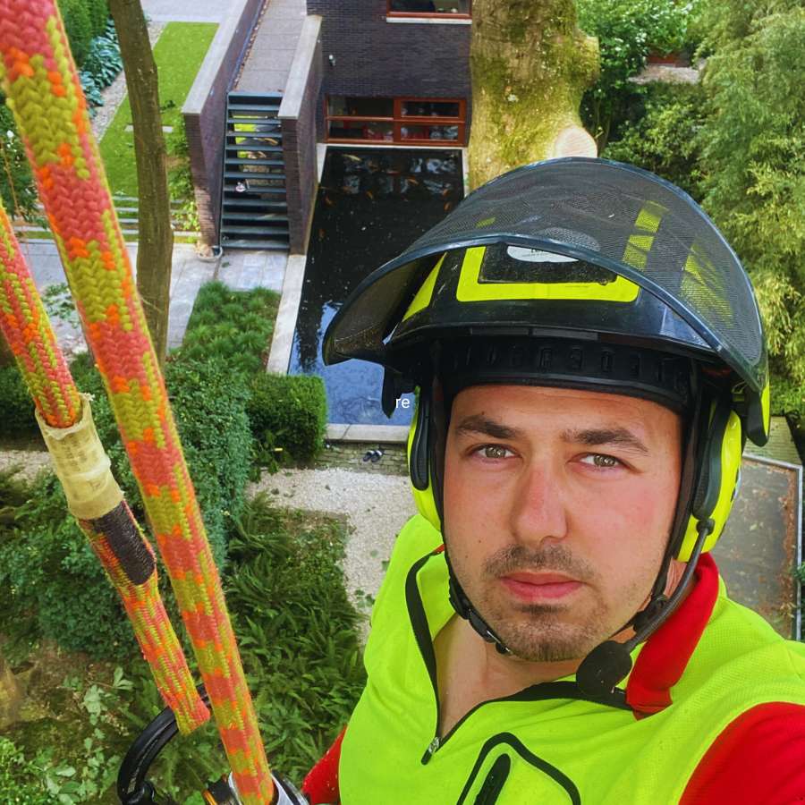 professionele boomverzorger